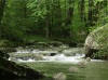 stepping stones over the river